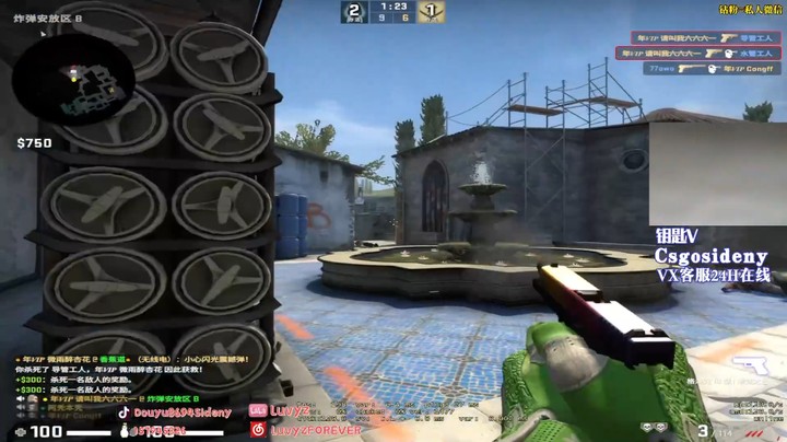 CSGO Sideny蛇车队被打解散？