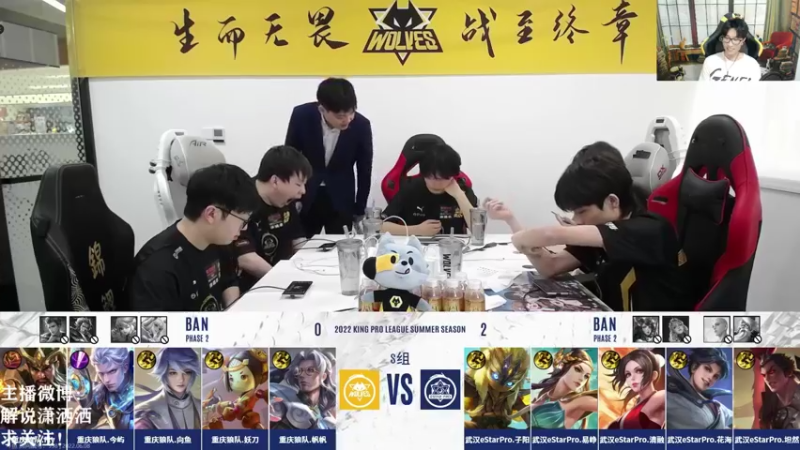 【2022-06-08 16点场】解说潇洒：潇洒解说：火豹 VS KSG