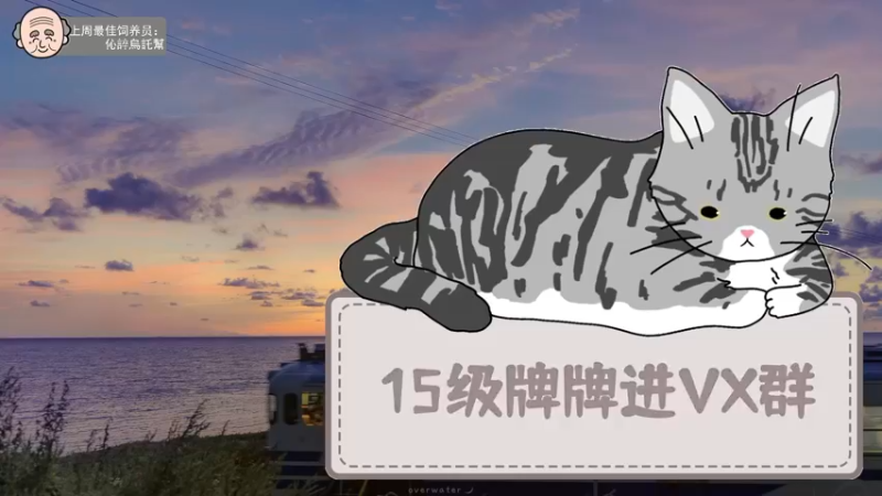 【2022-06-06 20点场】芝士味的韫儿：20点来！要去学校一下！nono摆烂！！