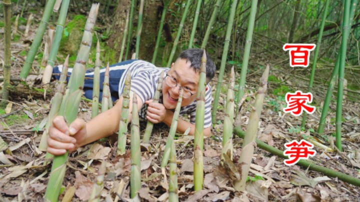 这片竹林掰竹笋真过瘾，20分钟就能掰100斤，和茴香炒着，真下饭