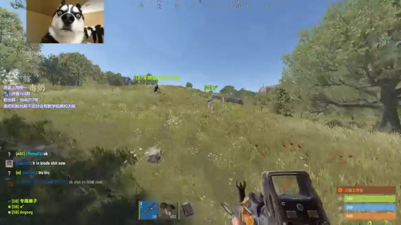 【2022-06-04 01点场】阿狸ALiovo：阿狸:真好玩