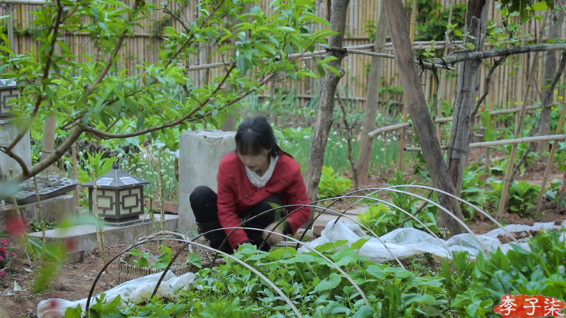 我在斗鱼看李子柒liziqi直播美食