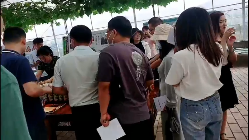 【2022-06-10 09点场】政达光明：巍巍三峡系列活动