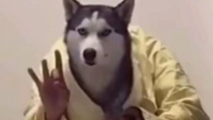摸鱼