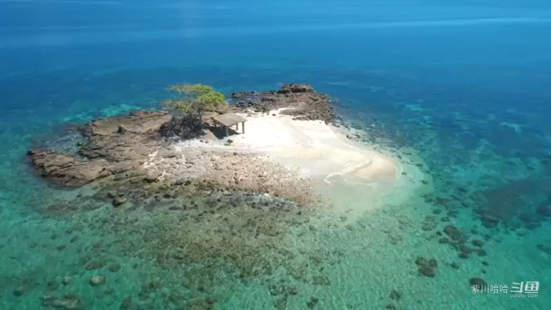 你选择的路，怎么走都要坚持下去，路上的艰辛，不要抱怨。