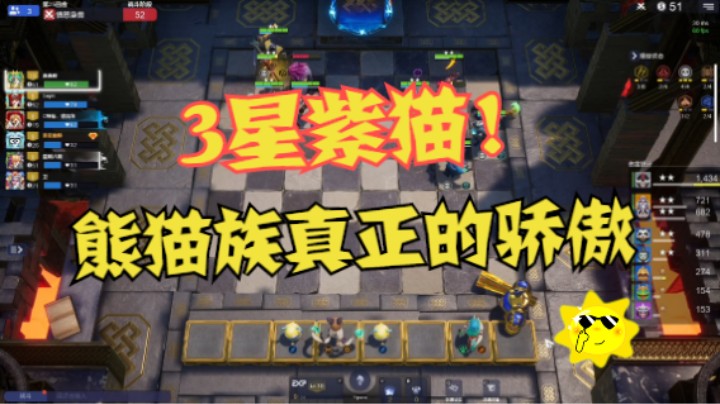 3星紫猫！熊猫族的大哥大！那肯定强得爆炸吧
