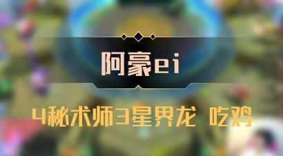 【阿豪ei】4秘术师3星界龙 吃鸡