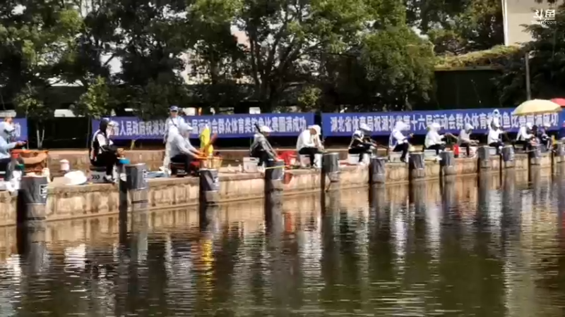 【2022-06-11 09点场】中华户外钓鱼：龙王恨比赛第一天