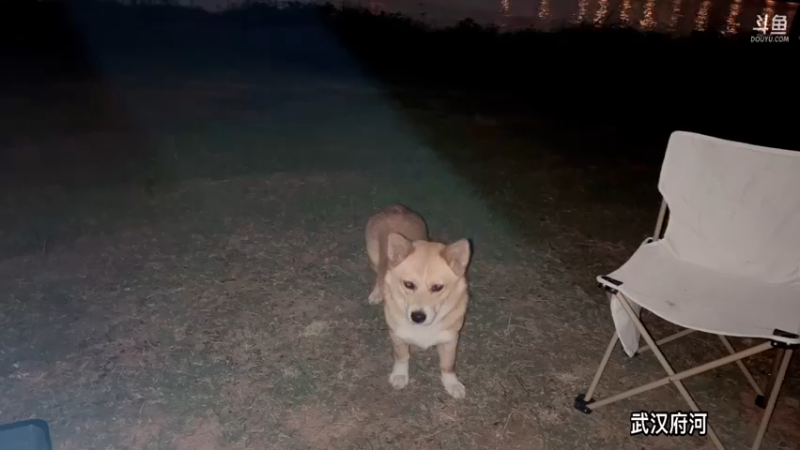 【2022-06-11 20点场】主播阿郎：带着阿芬去新疆 day 6武汉