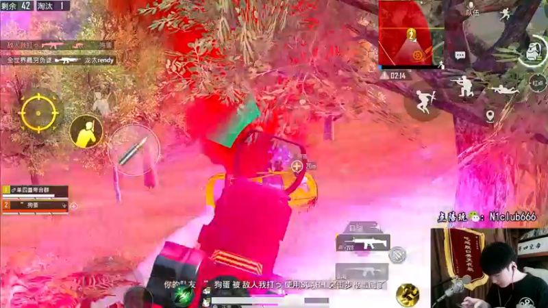 【2022-06-11 14点场】Dy合群：【王牌1V4】超高吃鸡率！