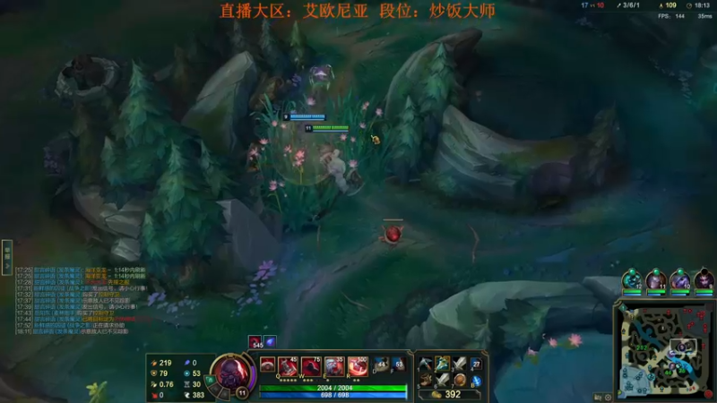 【2022-06-11 01点场】玩偶大叔：国服最菜塞恩（赛恩）