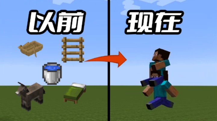 我的世界：天上掉下个史蒂夫