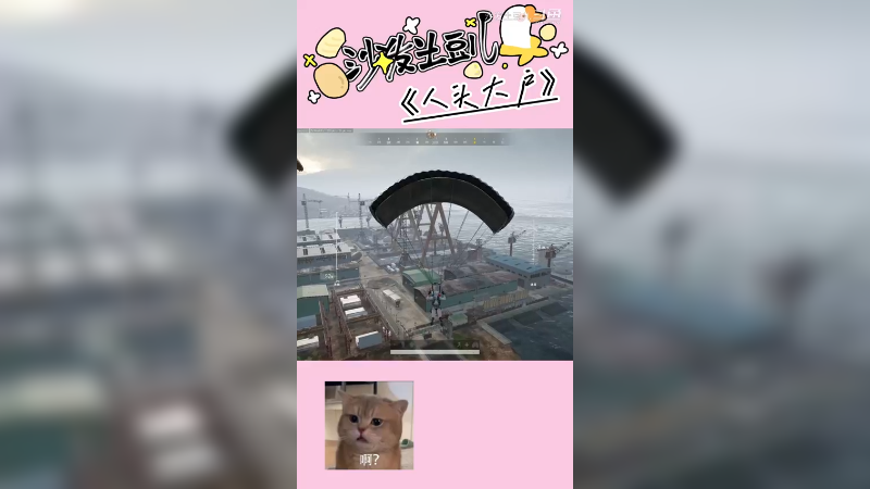你们不要打了！不要再打了啦！