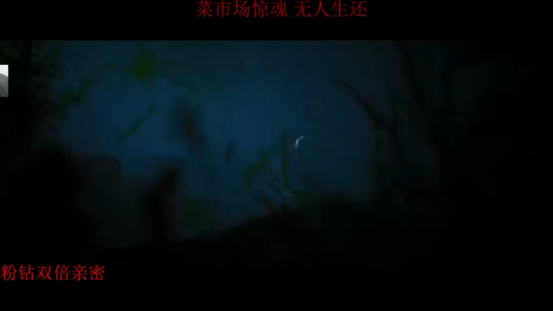 【2022-06-11 00点场】章随便先生：菜市场惊魂二周目