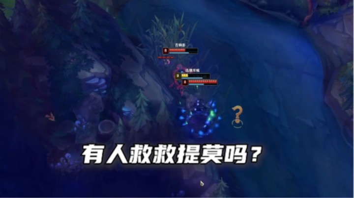 有没有人来救一下可爱的提莫呀！