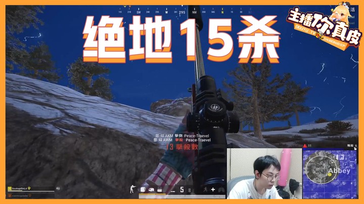 【主播你真皮29】陈死狗：15杀很难吗