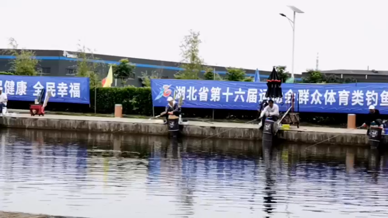 【2022-06-12 09点场】中华户外钓鱼：龙王恨比赛第二天