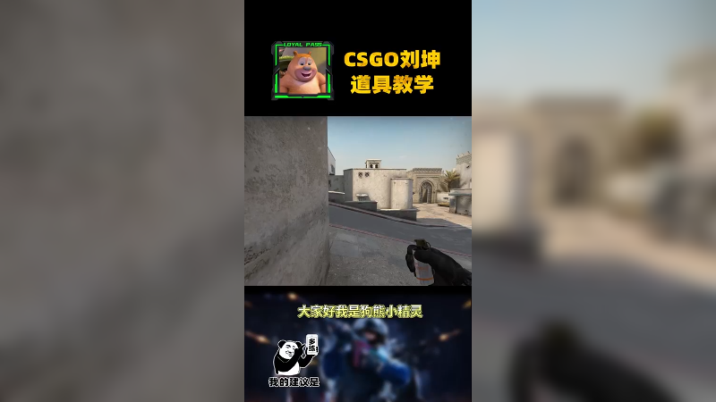 给兄弟们找了个狗熊岭小精灵，好好看好好学