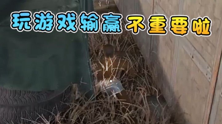 玩游戏输赢不重要啦