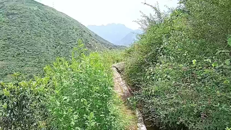 【2022-06-14 13点场】黑哥户外：卖精蹦蹦的鱼