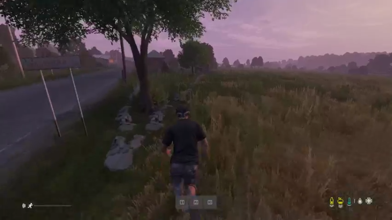 【2022-06-13 20点场】dayz韩爱东西：I am friendly