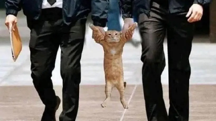 啦啦啦