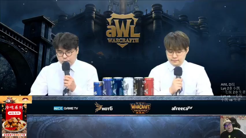 【TED出品】AWL D组胜决 Lyn vs 一毛饭 无缺点司令