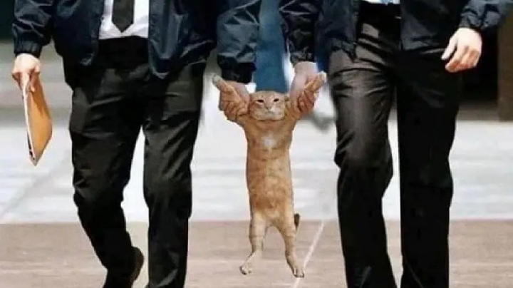 啦啦啦