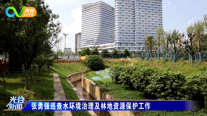 20220614光谷新闻周二版