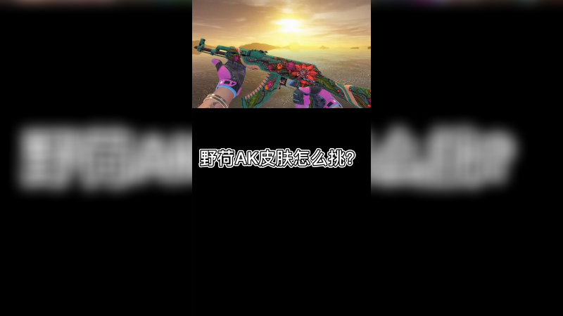 【csgo皮肤讲解】野荷ak皮肤怎么挑那~早晚用得上