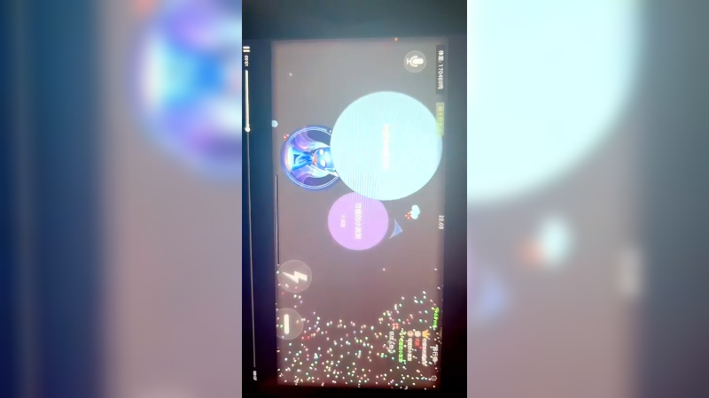 母体