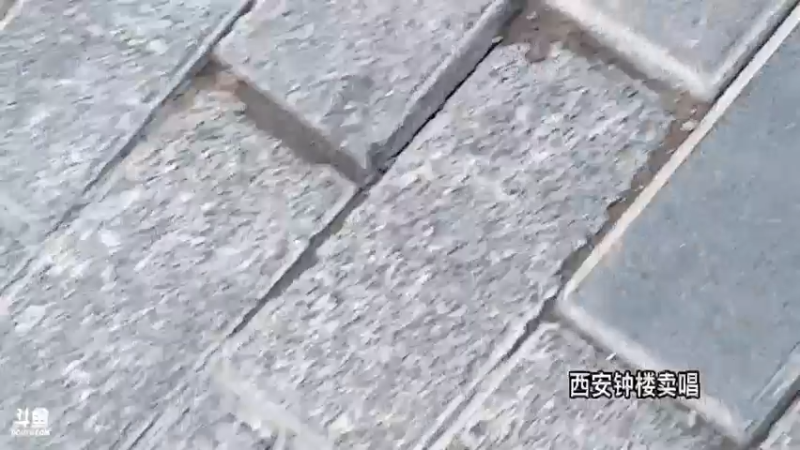 【2022-06-15 19点场】主播阿郎：带着阿芬去新疆 day 10西安