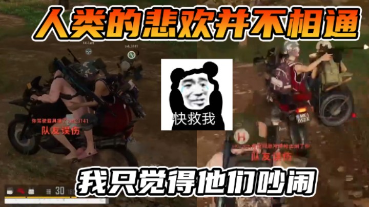 几个国服在 被乱杀！大半夜我直接笑出猪叫！