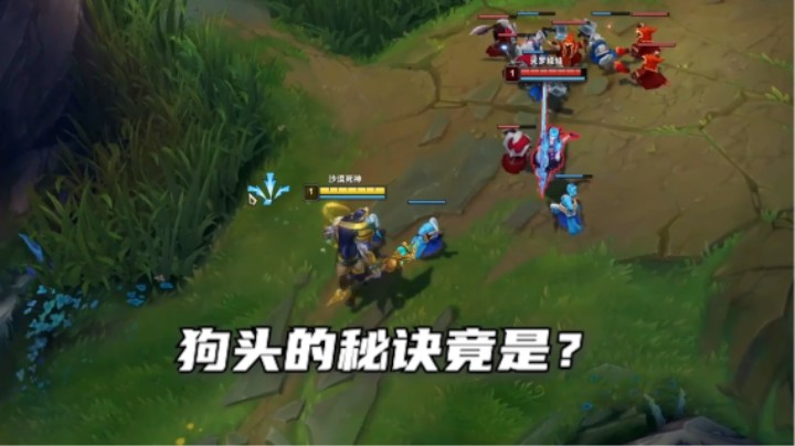 吃了锅巴的狗头再也不用担心抗压