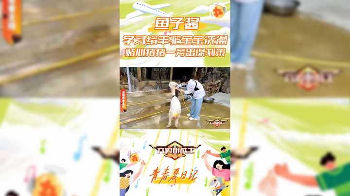【六边形战士】鱼子酱学习给羊驼宝宝洗澡，贴心猪猪一旁出谋划策