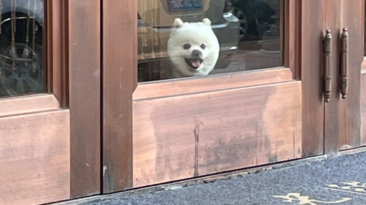 和cheng和居居