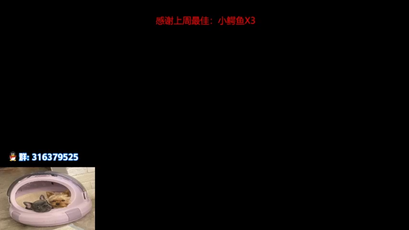 【2022-06-11 14点场】瓦罗兰特啊杰：啊杰：adamant team UP！！