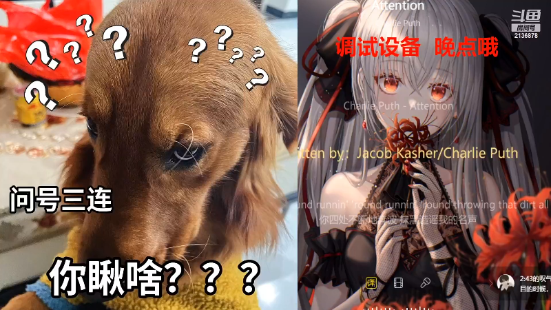【颜值（横屏）】仔仔呐Zz的精彩时刻 20220616 19点场