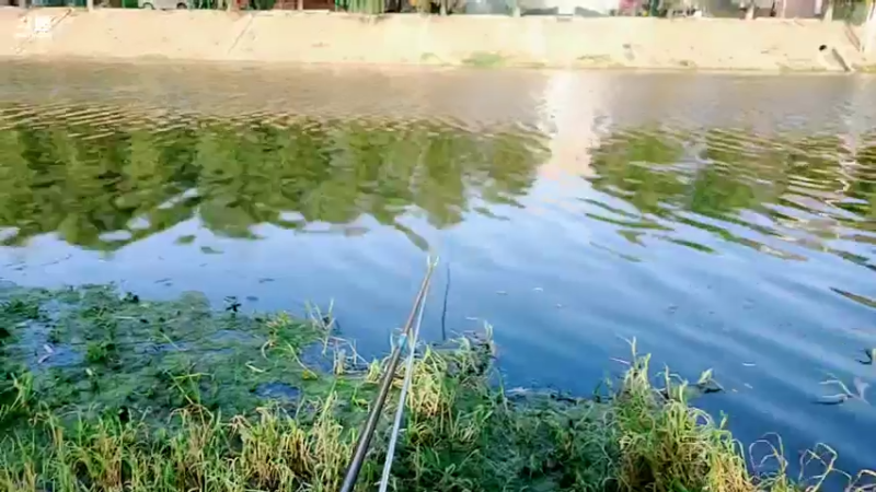 【2022-06-16 17点场】郑伟丶：娱乐性技术主播