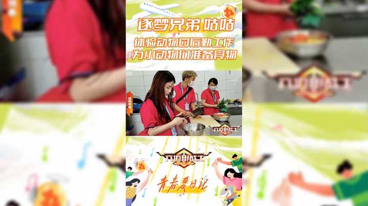 【六边形战士】逐梦兄弟 姑姑，体验动物园后勤工作