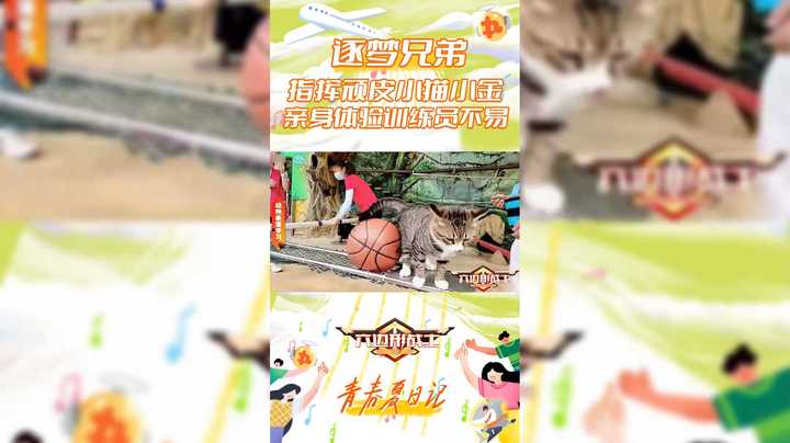 【六边形战士】逐梦兄弟指挥顽皮小猫小金，亲身体验训练员不易