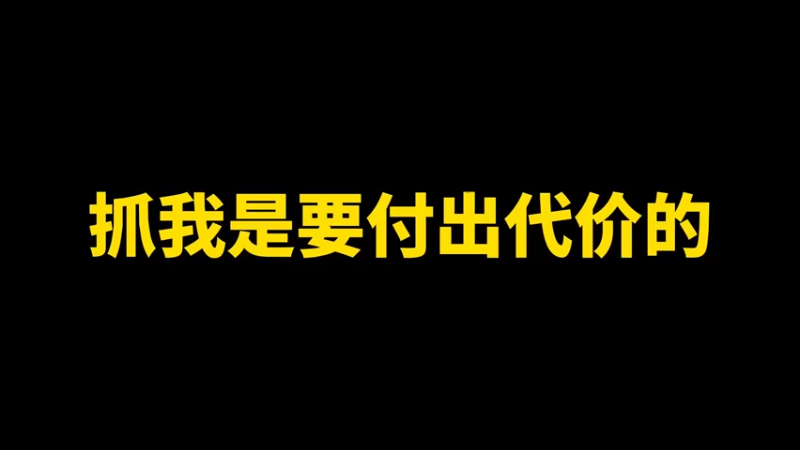 抓我？是要付出代价的