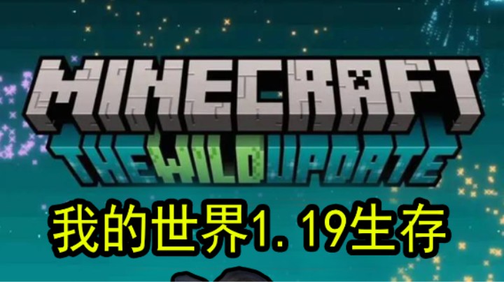 我的世界运输船？1.19版本更新！