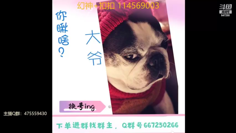 【2022-06-16 22点场】小马锅马杰：马锅：幻神倒计时。