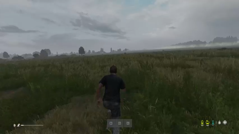 【2022-06-17 11点场】dayz韩爱东西：I am friendly
