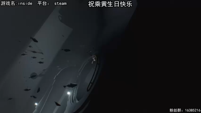 【2022-06-16 14点场】兔了了丶：【恐怖在线】：恐怖惊险刺激