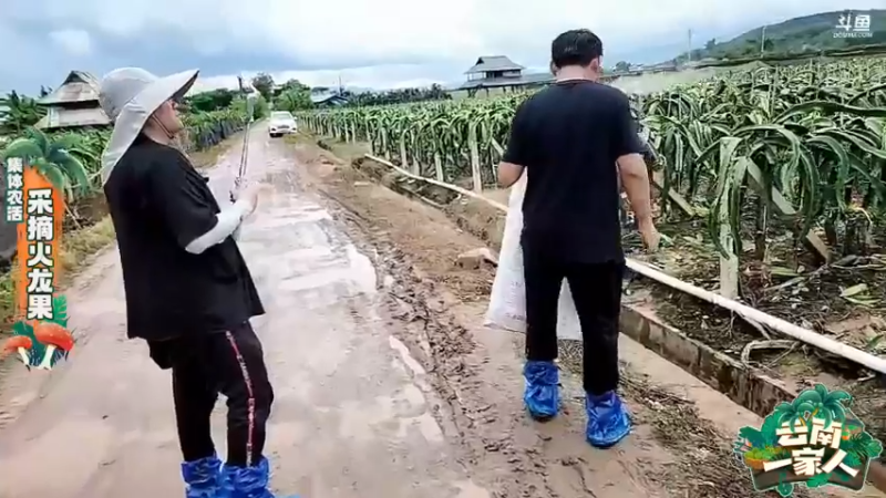 【2022-06-17 14点场】火力堂主：云南一家人 Day2 241123