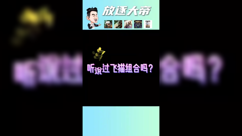 听说过飞猫组合吗