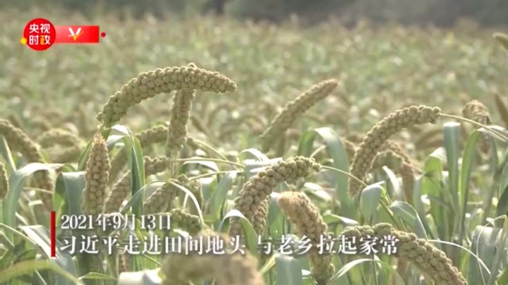总书记走进田间地头