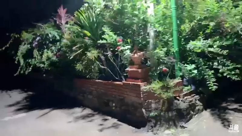 【2022-06-17 00点场】douyu小漠：云南一家人 Day1 85982